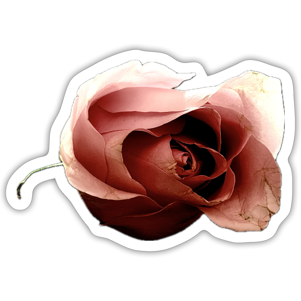 . ::::: - white matte