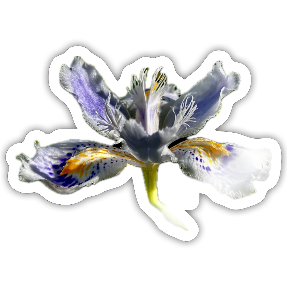 . ::::: ::: - white glossy