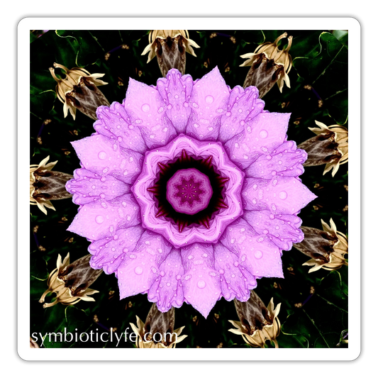 :::::  :::::  ::: - white matte