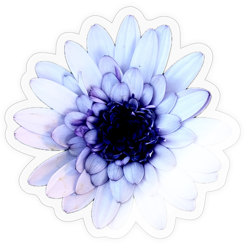 . ::::: ::::: ::::: ::::: - transparent glossy