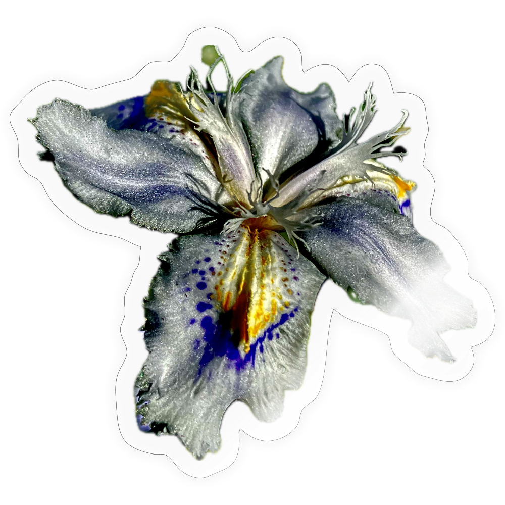 . ::::: ::::: ::::: : - transparent glossy