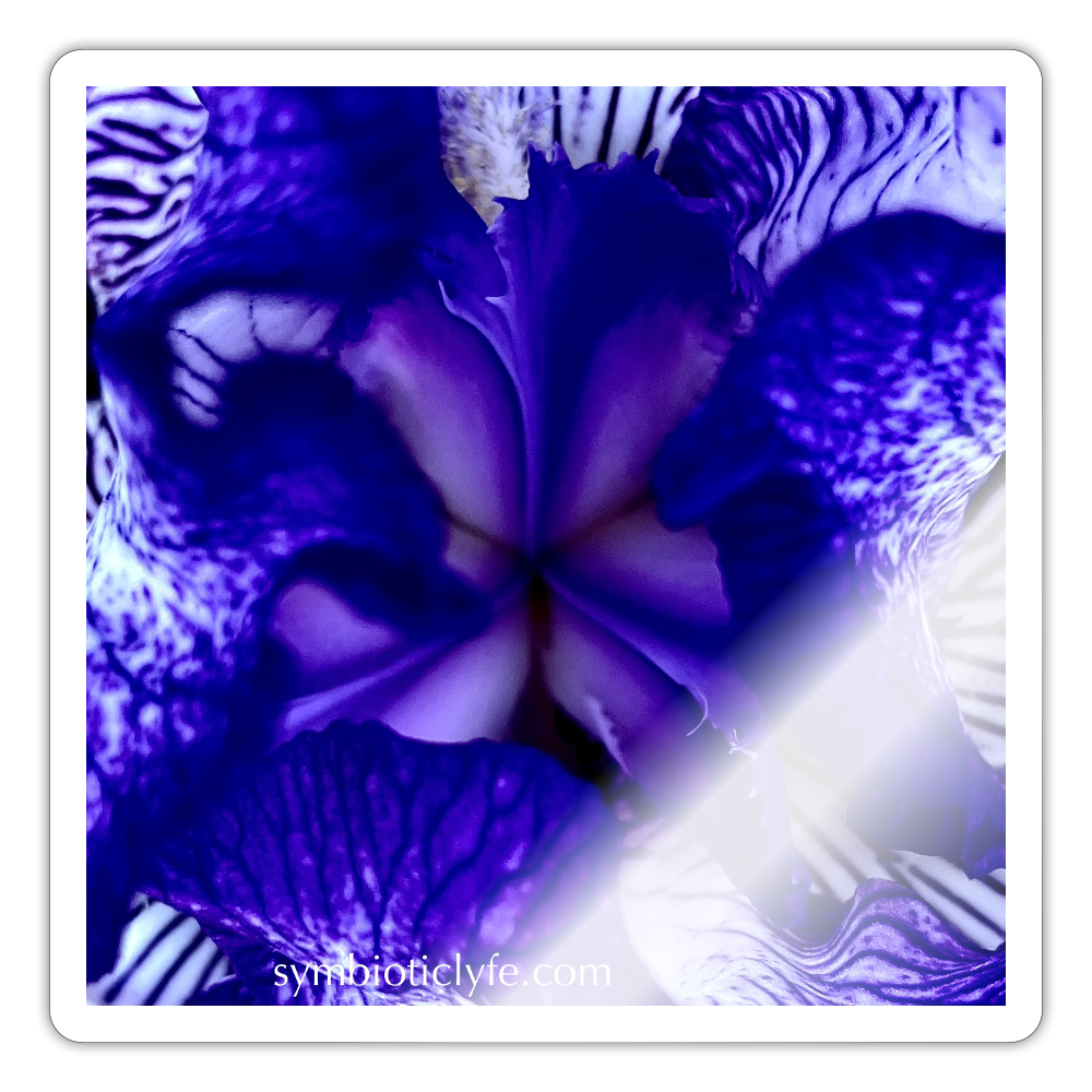 :::::  :::::  :::::  ::: - white glossy