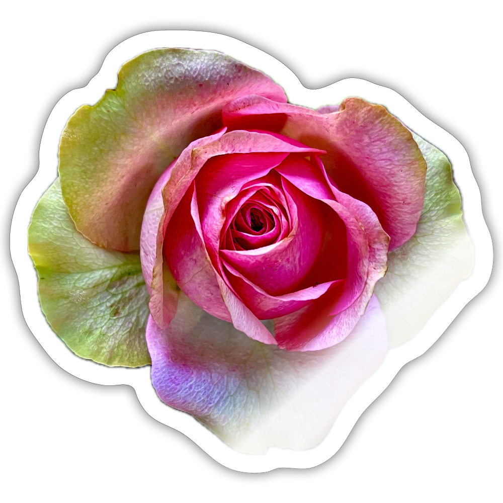 .... ::::: ::::: :: - white glossy