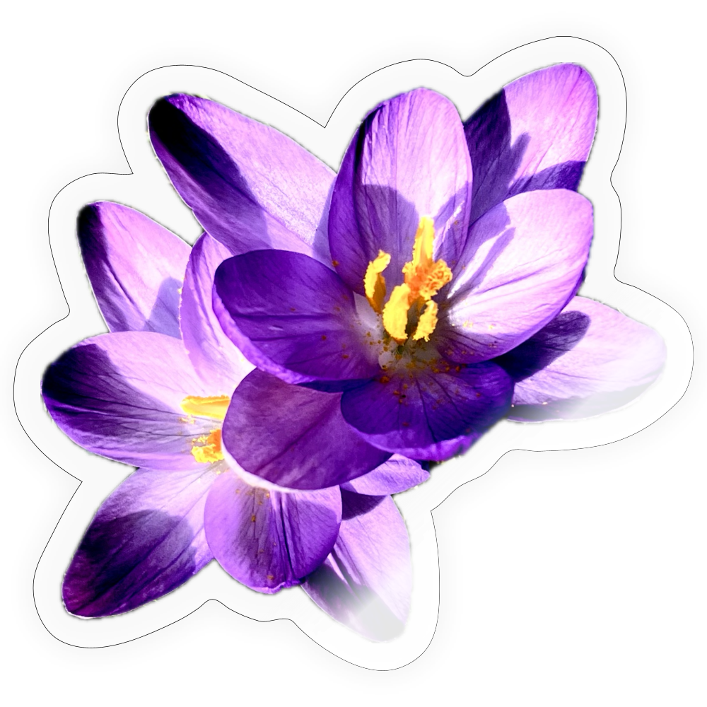 :::::  :::::  :::::  :::::  :::::  :::::  ::: - transparent glossy