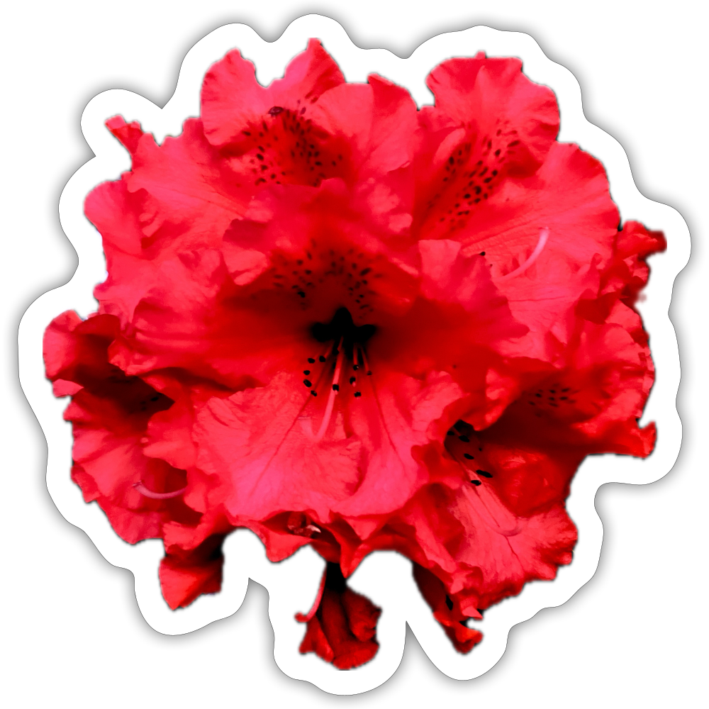 Sticker - white matte
