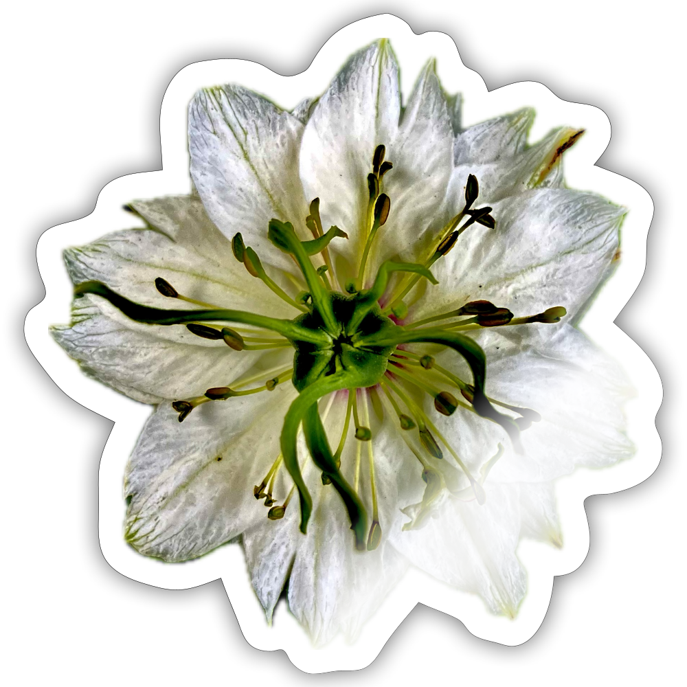 ... ::::: ::::: ::: - white glossy