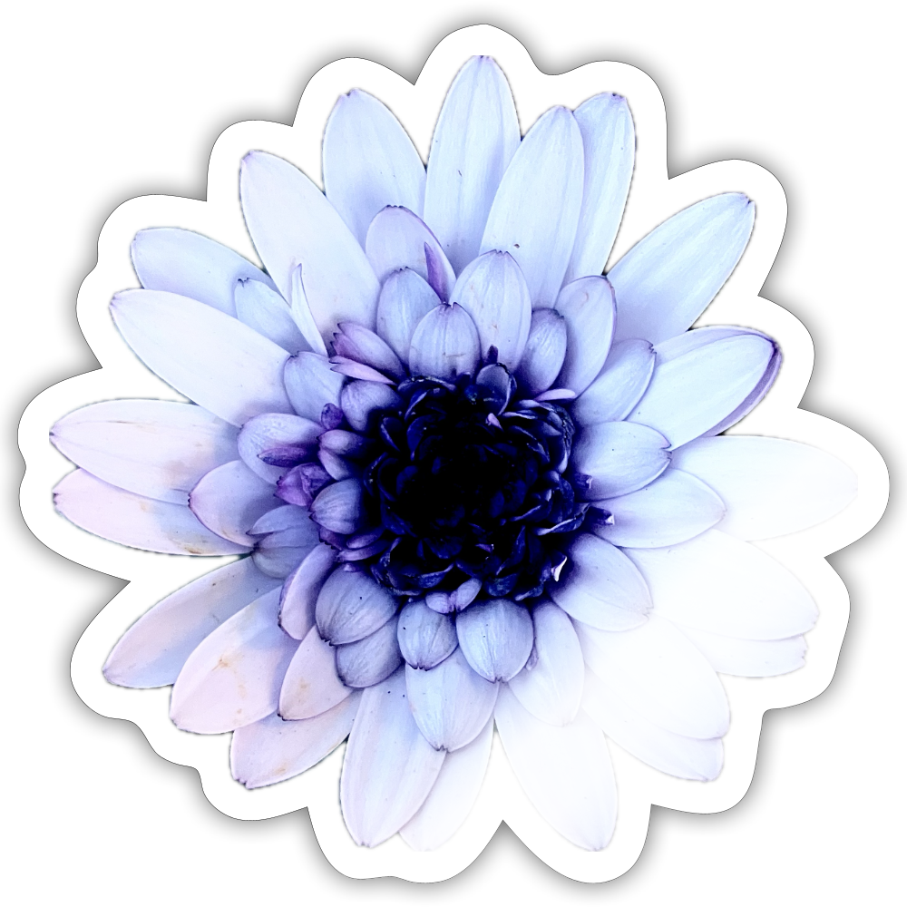 . ::::: ::::: ::::: ::::: - white glossy