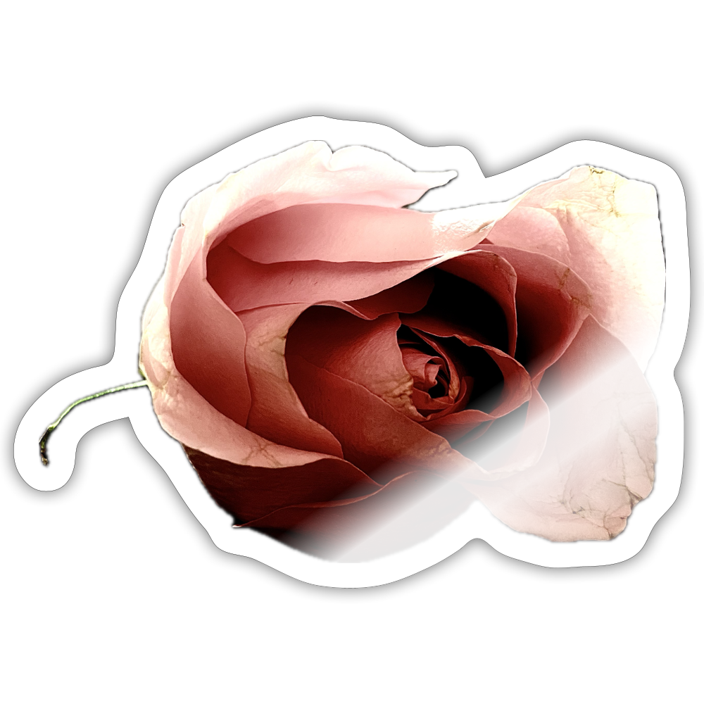 . ::::: - white glossy