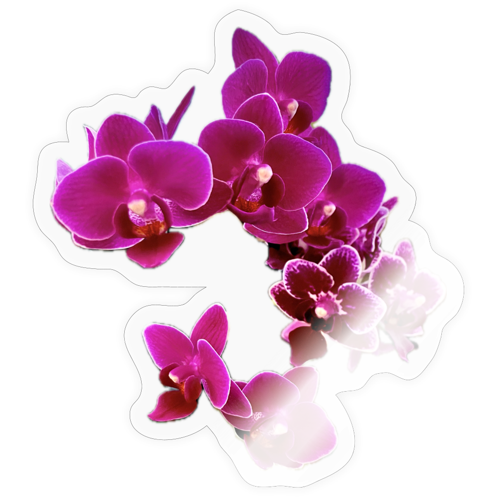 . : - transparent glossy