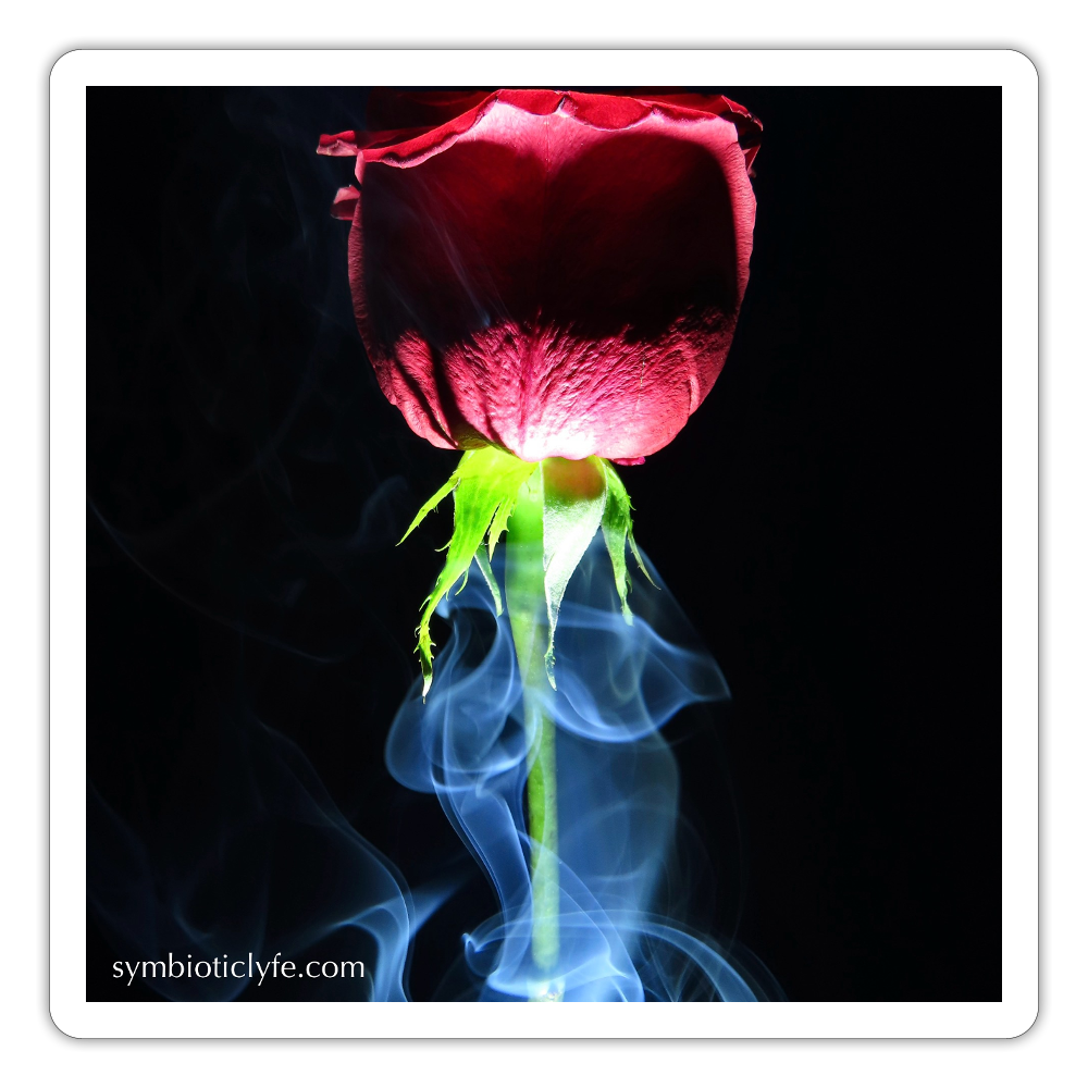 Smoke & Roses ::: - white matte