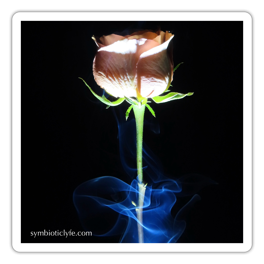 Smoke & Roses :::::  : - white matte