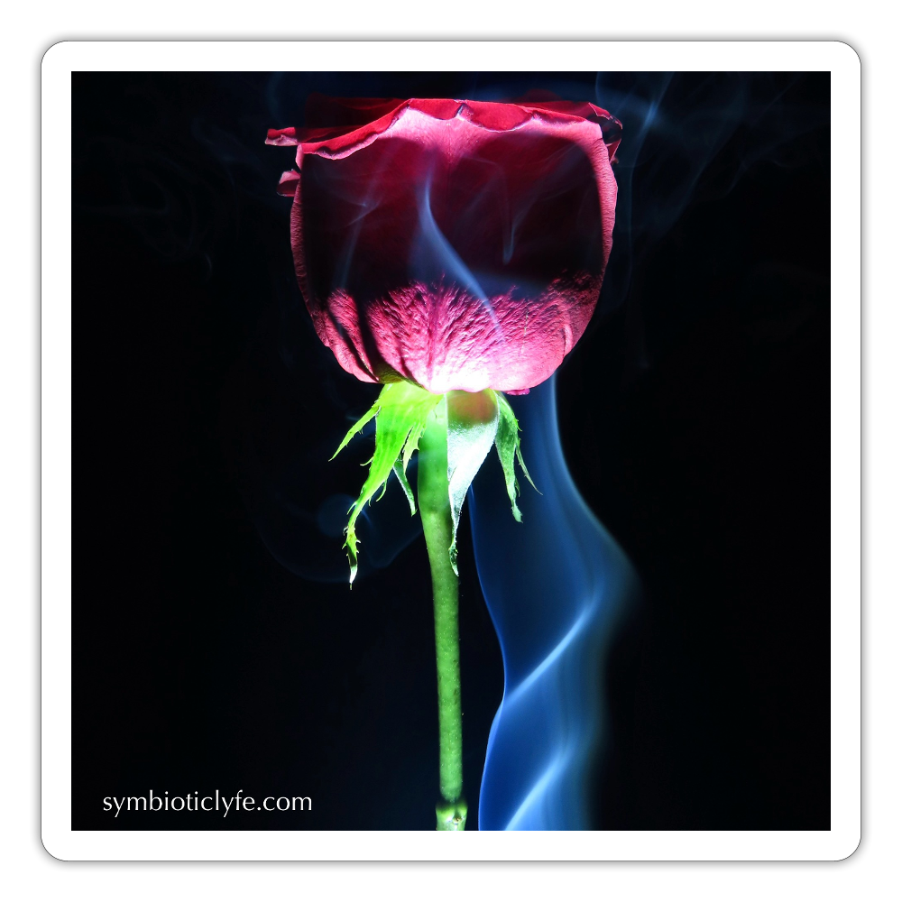 Smoke & Roses :::: - white matte